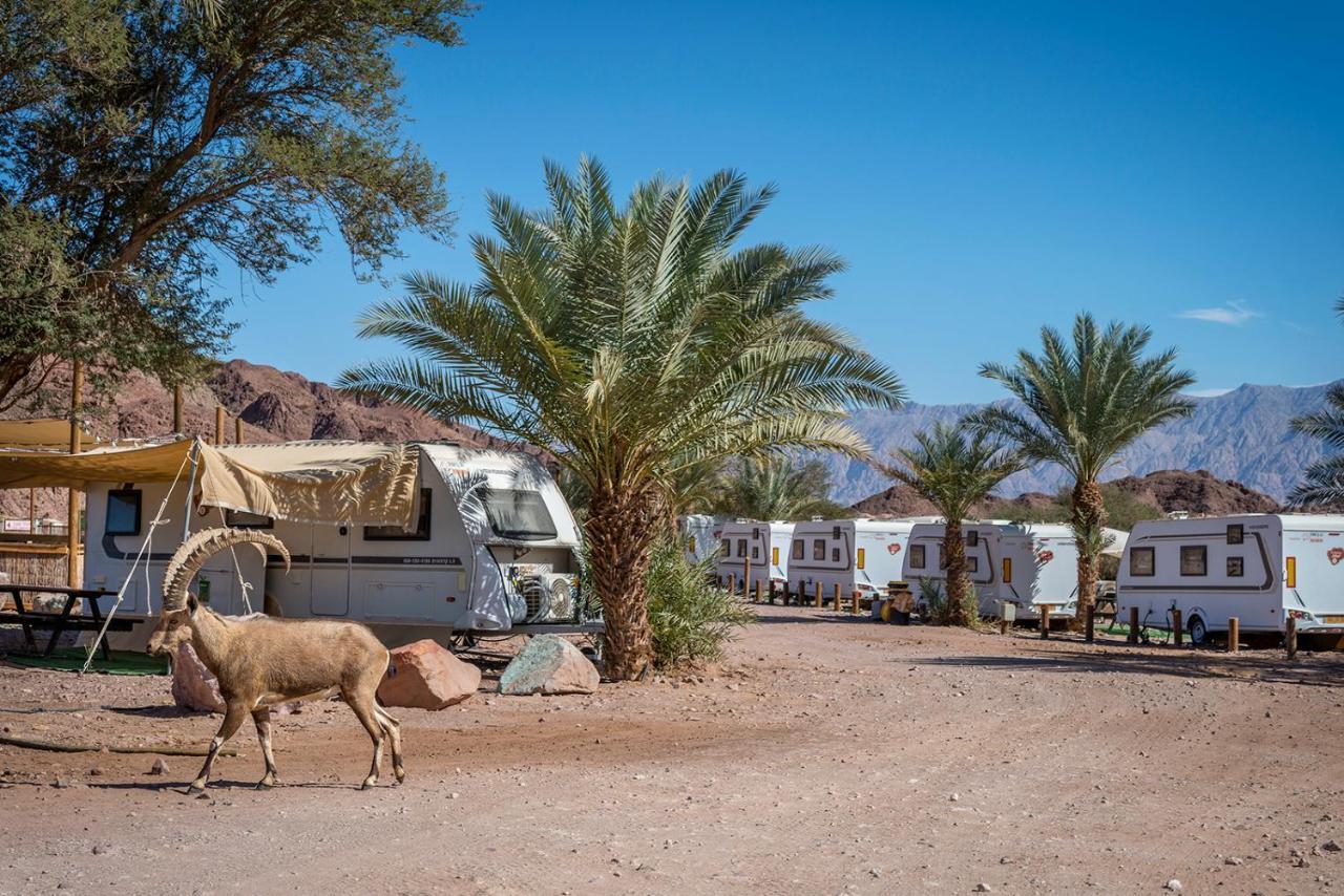 فندق Park Timna إيلات المظهر الخارجي الصورة
